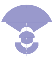 Lens Image