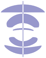 Lens Image